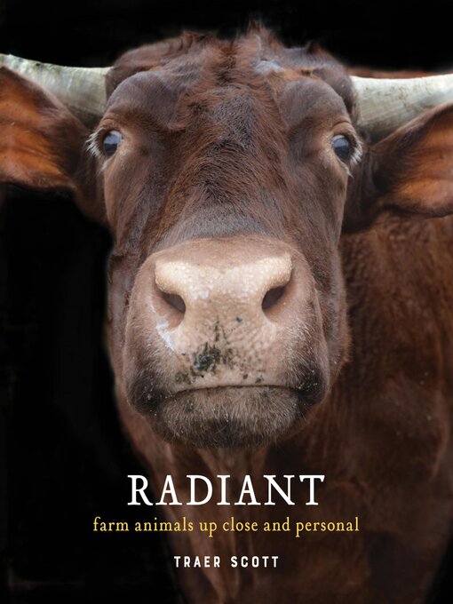 Title details for Radiant by Marjorie Luckey - Available